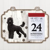Scheurkalender 2023 Hond: Koningspoedel