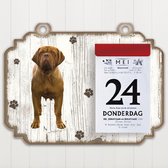Scheurkalender 2022 Hond: Bordeaux Dog
