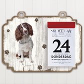 Scheurkalender 2023 Hond: Engelse Springer Spaniel