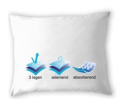 Greenlives - Hoofdkussen - 70 x 80 cm - Orthopedisch Hoofdkussen - Aloe vera