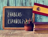 Online Cursus Spaans - El Mundo Latino