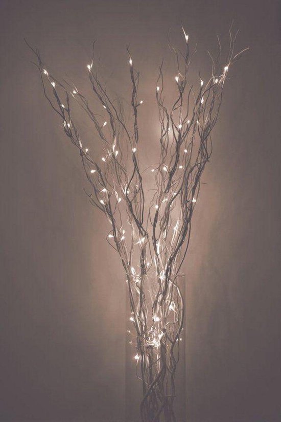 LED Decoratie takken grijs Kerstverlichting 20stuks - Kerstmis versiering -  LED strips... | bol.com