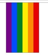 Regenboog vlaggenlijn - 9 meter | Stof