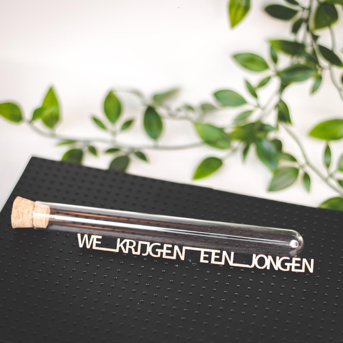Message in a bottle - We krijgen een jongen - Genderreveal - Bekendmaking zwangerschap - Aankondiging baby