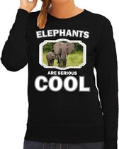 Dieren olifant met kalf sweater zwart dames - elephants are serious cool trui - cadeau sweater olifant/ olifanten liefhebber XS