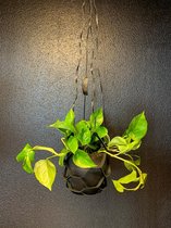 Georgio Pellani leren plantenhanger - Kleur Black (zwart) - Luxe Plantenhouder - Handgemaakt - Decoratie