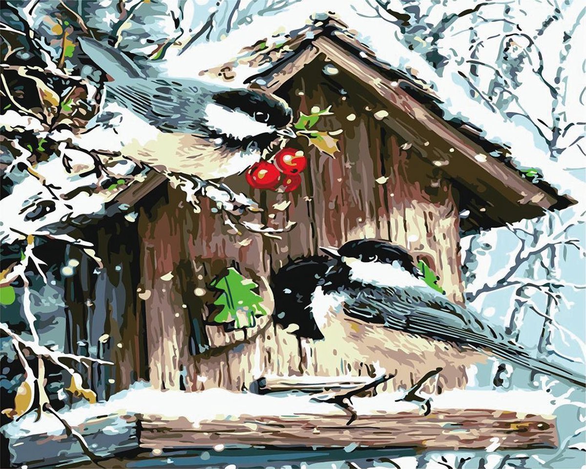 Schilderen op Nummer Volwassenen | Vogels in de Sneeuw | Paint by