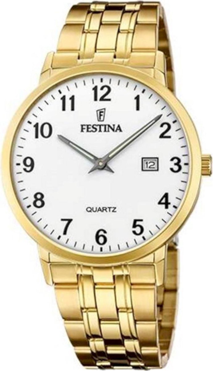 Festina Herenhorloge F20513-1