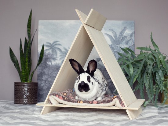 Teepee | Tipi | Speelhuisje | Kat | Konijn