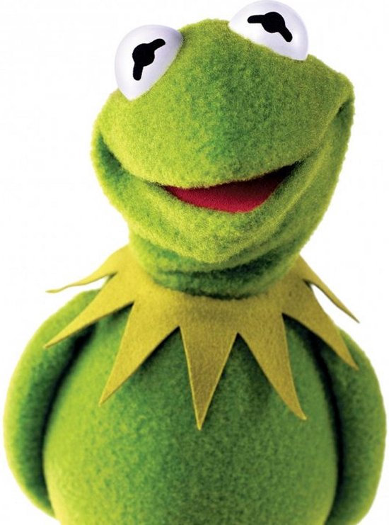 Boos worden persoon Habitat Kermit de Kikker 38cm Pluche Knuffel The Muppet Show | bol.com