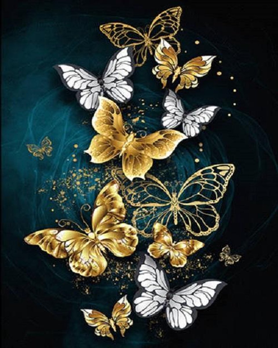 Lienz® Diamond Painting volwassenen 40x50cm – Rond - Vlinders - Volledig - Pakket Volwassenen