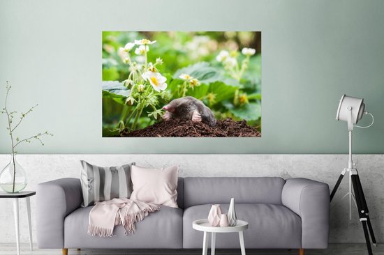 Papier d'affiche de taupe dans un jardin