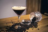 ROGASKA 1665 - AVENUE Martini Glas Kristal - Set van 2