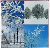 3 Pakjes van 10 wenskaarten Foto Collage Sneeuwbomen