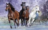 Diamond Painting vierkante steentjes - rennende paarden