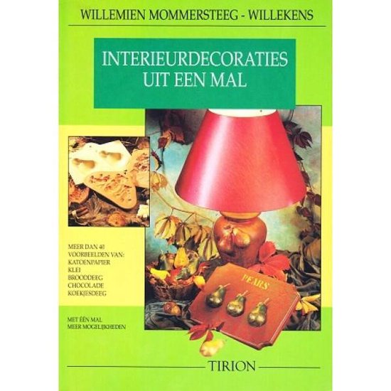Cover van het boek 'Interieurdecoraties uit een mal' van Willemien Mommersteeg