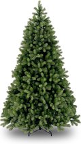 Kerstboom Bayberry poly - 228 cm