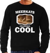 Dieren stokstaartjes sweater zwart heren - meerkats are serious cool trui - cadeau sweater stokstaartje/ stokstaartjes liefhebber 2XL