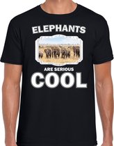 Dieren kudde olifanten t-shirt zwart heren - elephants are serious cool shirt - cadeau t-shirt olifant/ olifanten liefhebber S