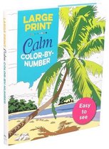 Large Print Calm Color-By-Number