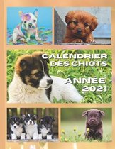 Calendrier des chiots. Annee 2021