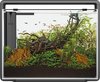 Superfish Home Aquarium 85 - Zwart - 80L