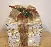 Kerst  Cadeau box L goud met timer en 30 led lampjes