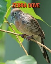 Zebra Dove