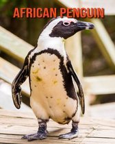 African Penguin