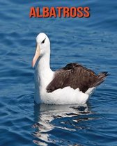 Albatross