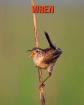 Wren