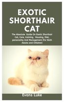 Exotic Shorthair Cat