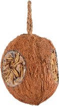 Flamingo Voederkokosnoot met 3 gaten en meelwormen 350g
