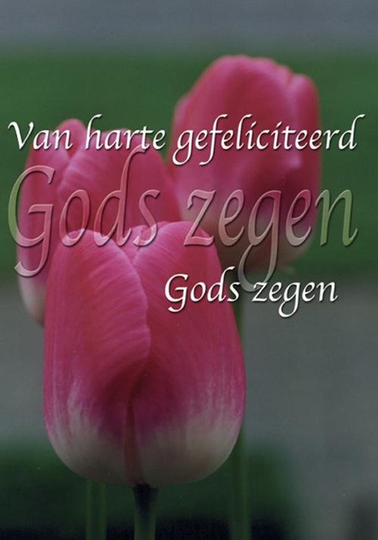 Drie roze tulpen met witte randen en de tekst 'Van harte gefeliciteerd Gods zegen'.