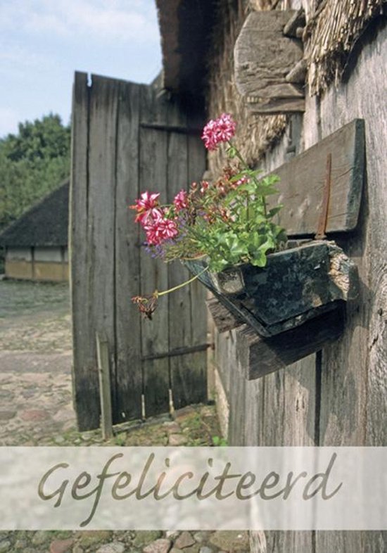 Houten muur met bloemenplant en de tekst "Gefeliciteerd"