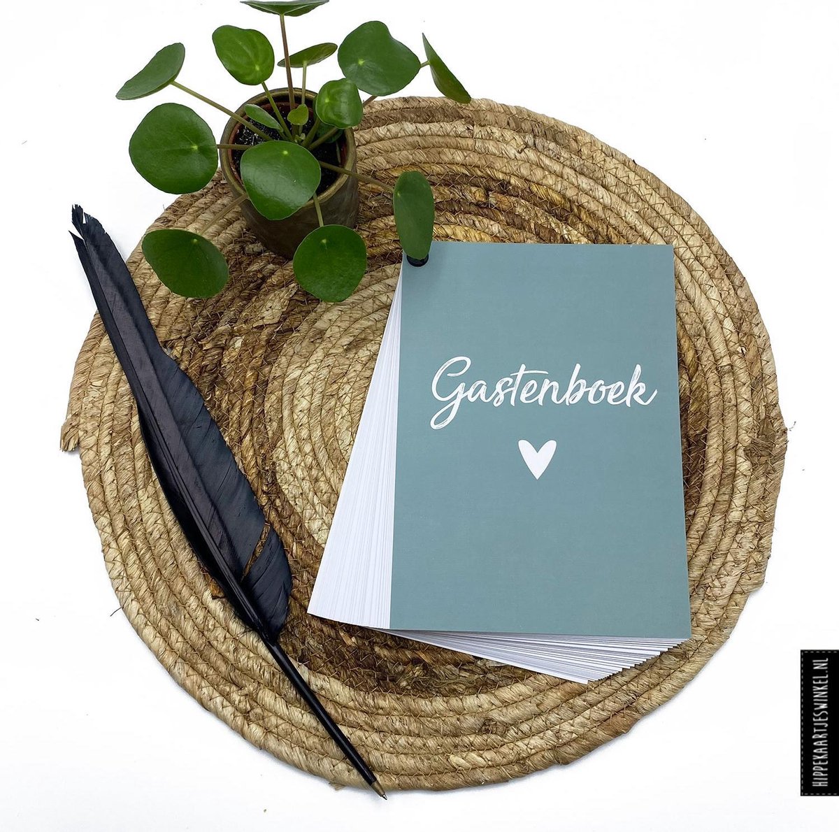 Gastenboek invulkaarten 50 stuks - Bruiloft - Huwelijk - Receptieboek - Invulboek groen