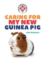 Caring for My New Guinea Pig