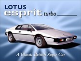 Lotus Esprit Turbo, wand- reclamebord 40x30cm