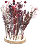 Droogbloemen inclusief boomstam | Dried Flowers | Rood | Workshop | Gedroogde Bloemen | Mixed Colours | Bloemen