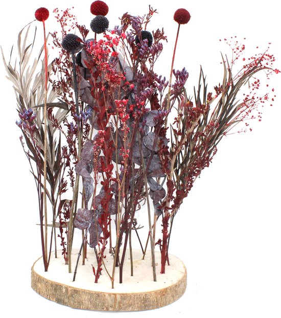 Droogbloemen inclusief boomstam Dried Flowers | Rood Workshop Gedroogde | bol.com