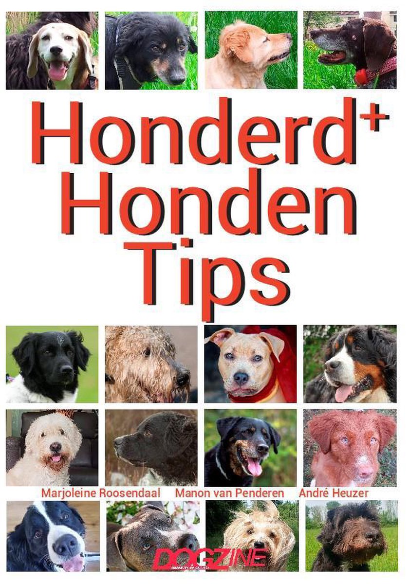 trimmen teer Gewoon Honderd+ Honden Tips, Marjoleine Roosendaal | 9789493060029 | Boeken |  bol.com