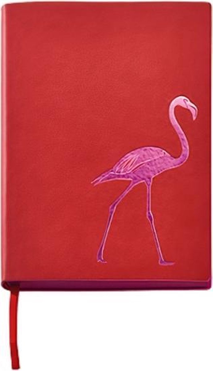 Cedon Notitieboekje A5 Flamingo Meisjes Karton/papier Rood/roze