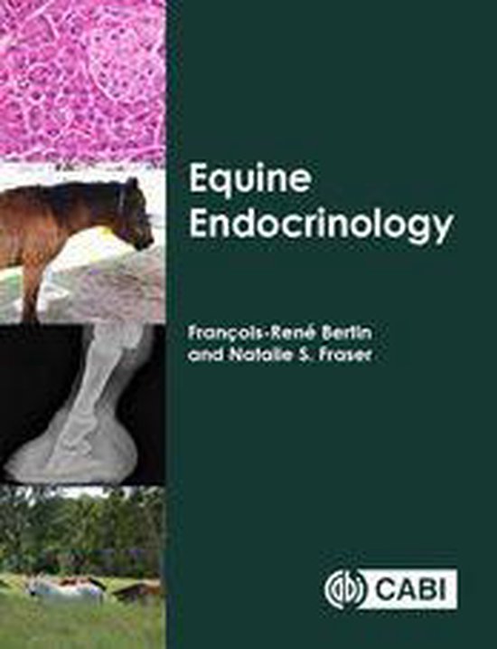 Equine Endocrinology - cover