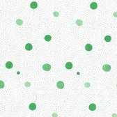Cadeaupapier inpakpapier geschenkpapier rol Nature Eco 50 centimeter x 200 meter