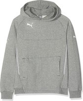 Puma Hoodie Jongens Katoen/polyester Grijs Maat 140