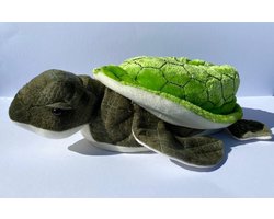 Schildpad sloffen voor dames en heren