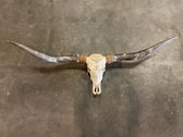 Longhoorn skull uit Bali - Longhoorn - Skull - Longhorn - Buffalo - Buffelschedel - Ibiza Skull - Muurdecoratie - Wanddecoratie - Bali - Wit - 150 cm