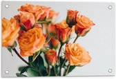 Tuinposter – Bos Oranje Rozen - 60x40cm Foto op Tuinposter  (wanddecoratie voor buiten en binnen)