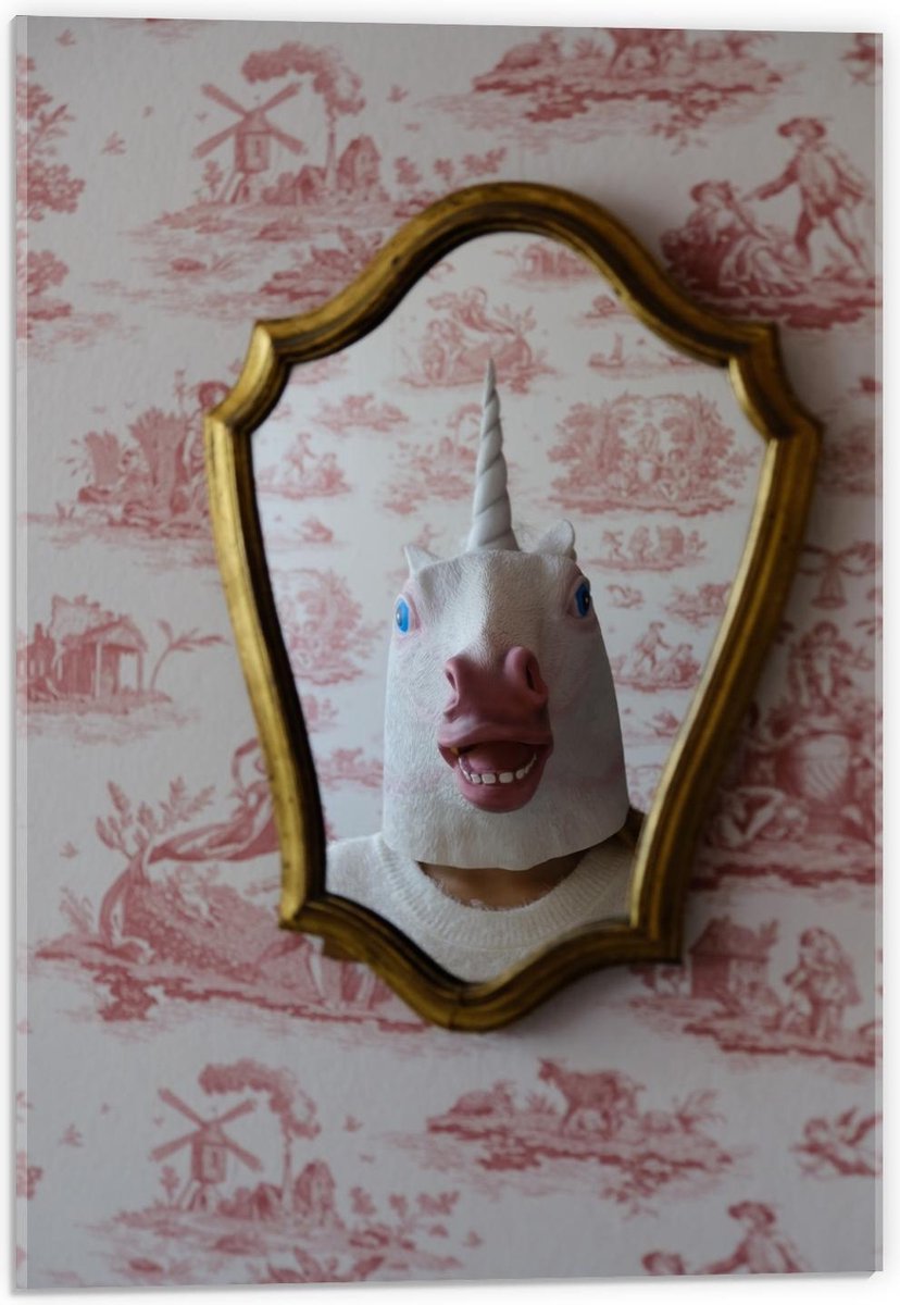 Acrylglas - Eenhoornkop in Gouden Spiegel - 40x60cm Foto op Acrylglas (Wanddecoratie op Ac