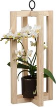 Orchidee | Trésor Pallisade Black pot | Living Collection